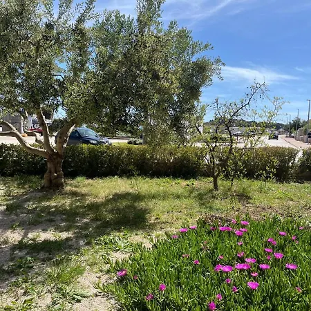 Saldi Пакоштане